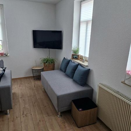 Ferienhaus Reschwitzer Auszeit Saalfeld Saale Екстериор снимка