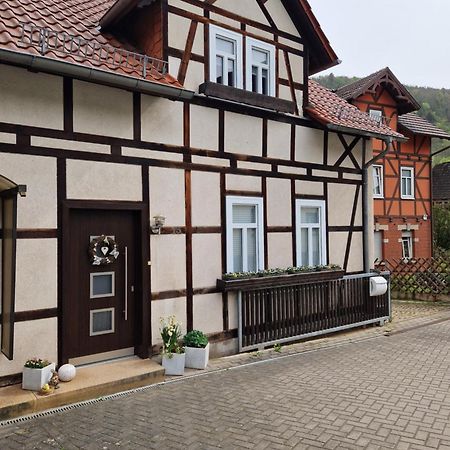 Ferienhaus Reschwitzer Auszeit Saalfeld Saale Екстериор снимка